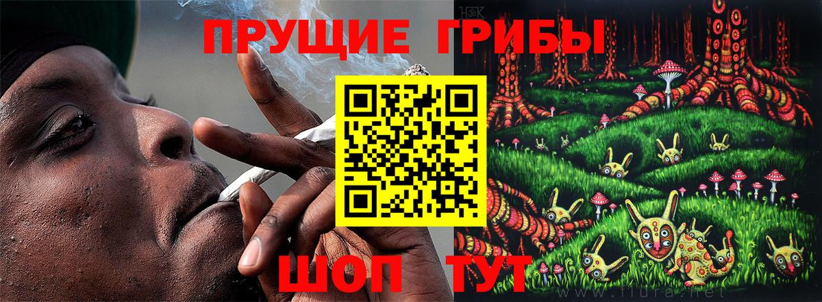Галлюциногенные грибы Magic Shrooms  Псилоцибиновые грибы ЛСД  Вход с VPN  Чехов 
